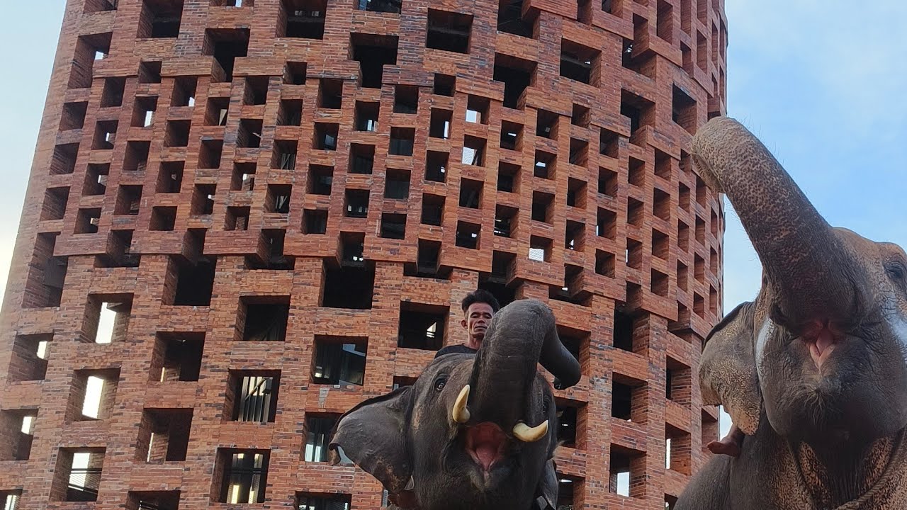 พลาย เลิศลักษณ์ สวัสดีตอนเย็นครับ