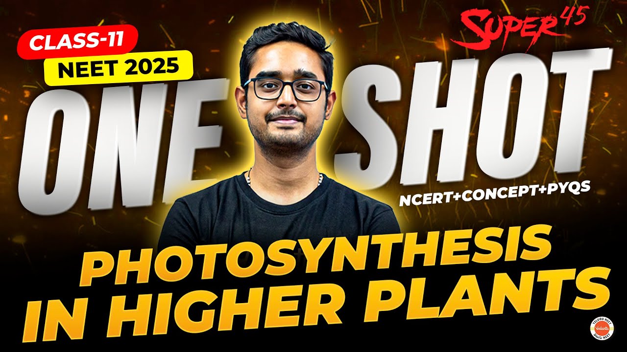 🌿 Photosynthesis in Higher Plants in ONE SHOT | Class 11 Biology | NEET 2025 | Ajay Sir