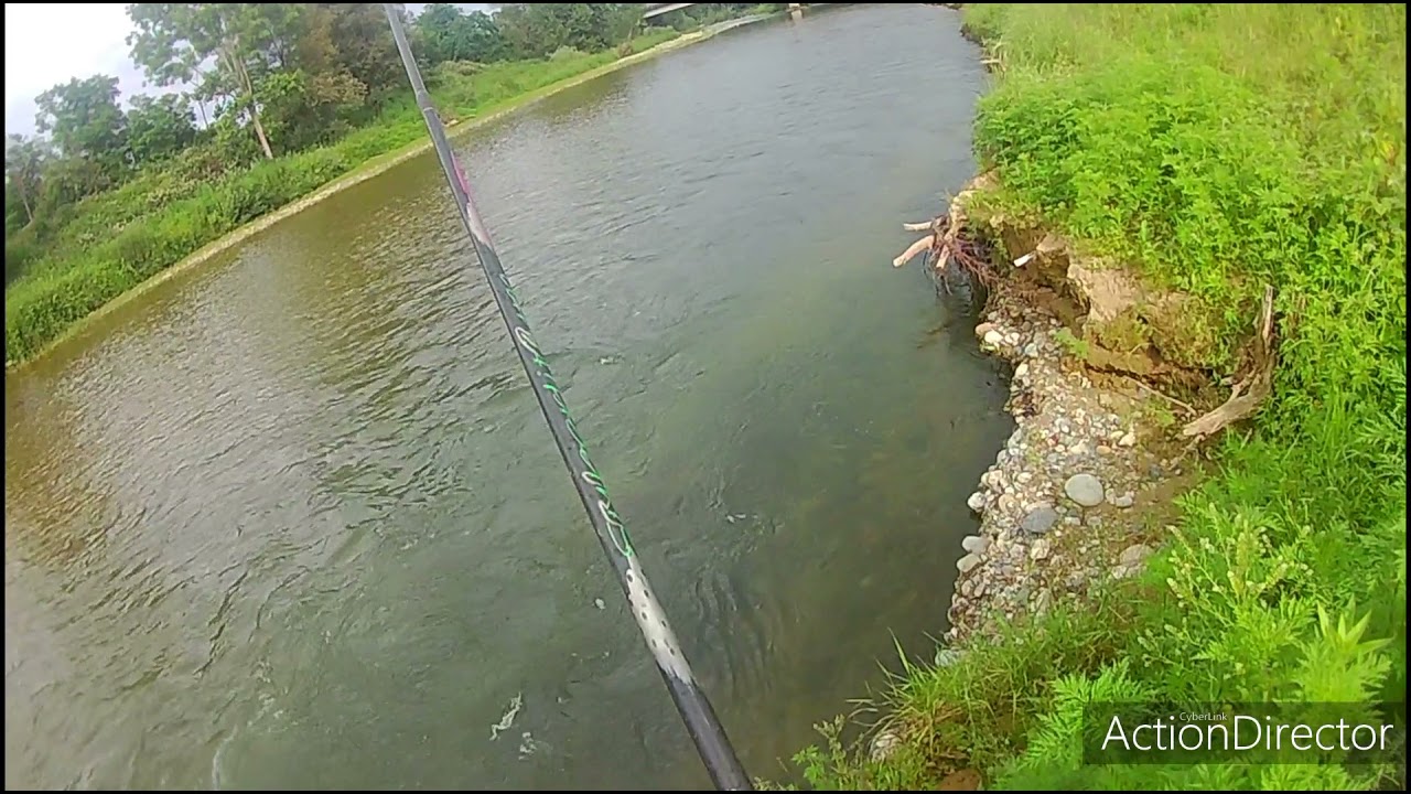 Barbo, Cavedani e Trote a Malone