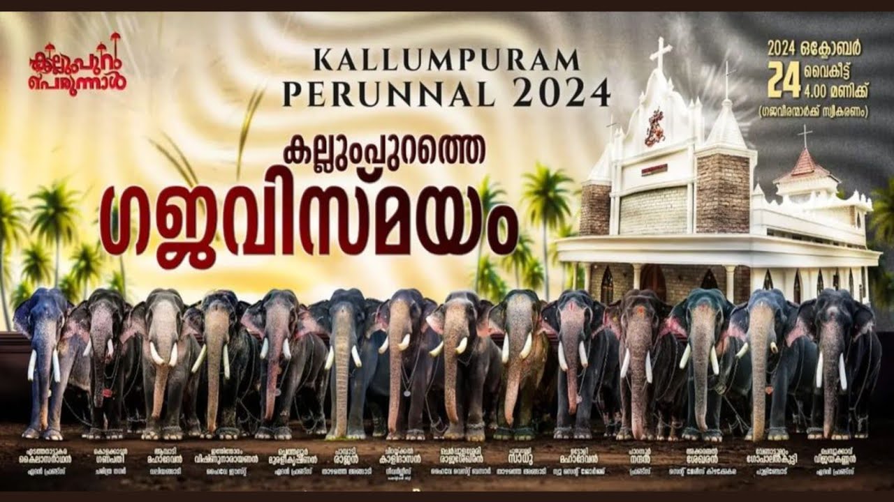 ഗജ സ്വീകരണം🔥🥵 കല്ലുംപുറം പള്ളി പെരുന്നാൾ 2024 ||kallumpuram palli perunnal 2024 || kallumpuram