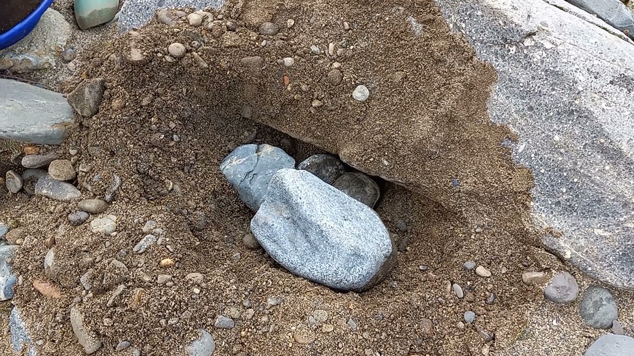 Prospecting a new gravel bar; giveaway announcement/details