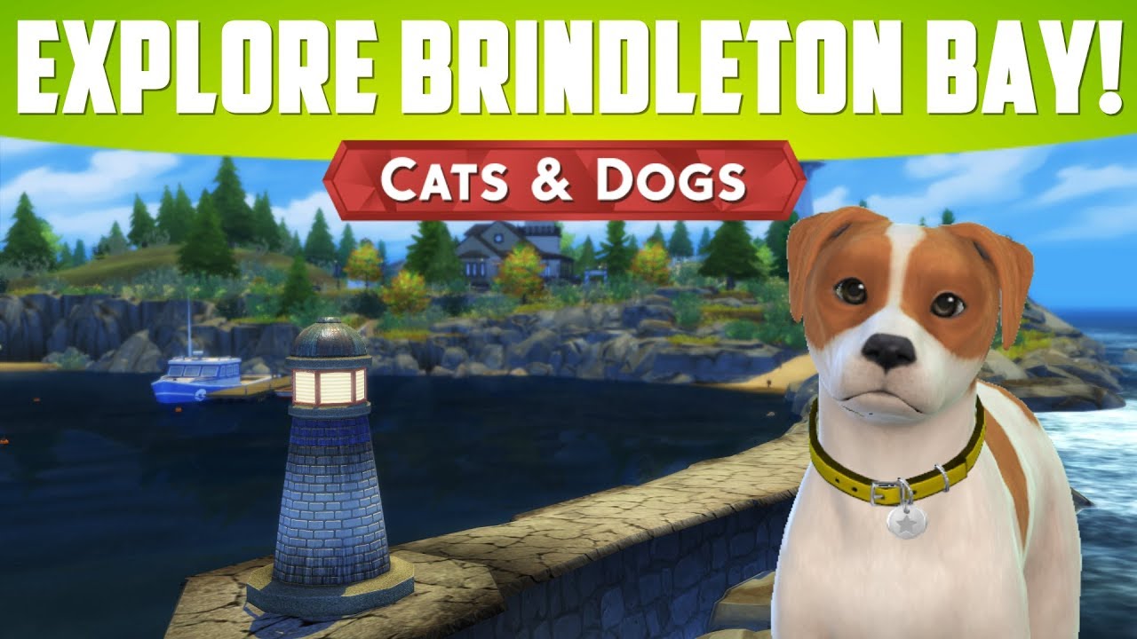 SIMS 4 CATS & DOGS - Exploring Bindleton Bay!!