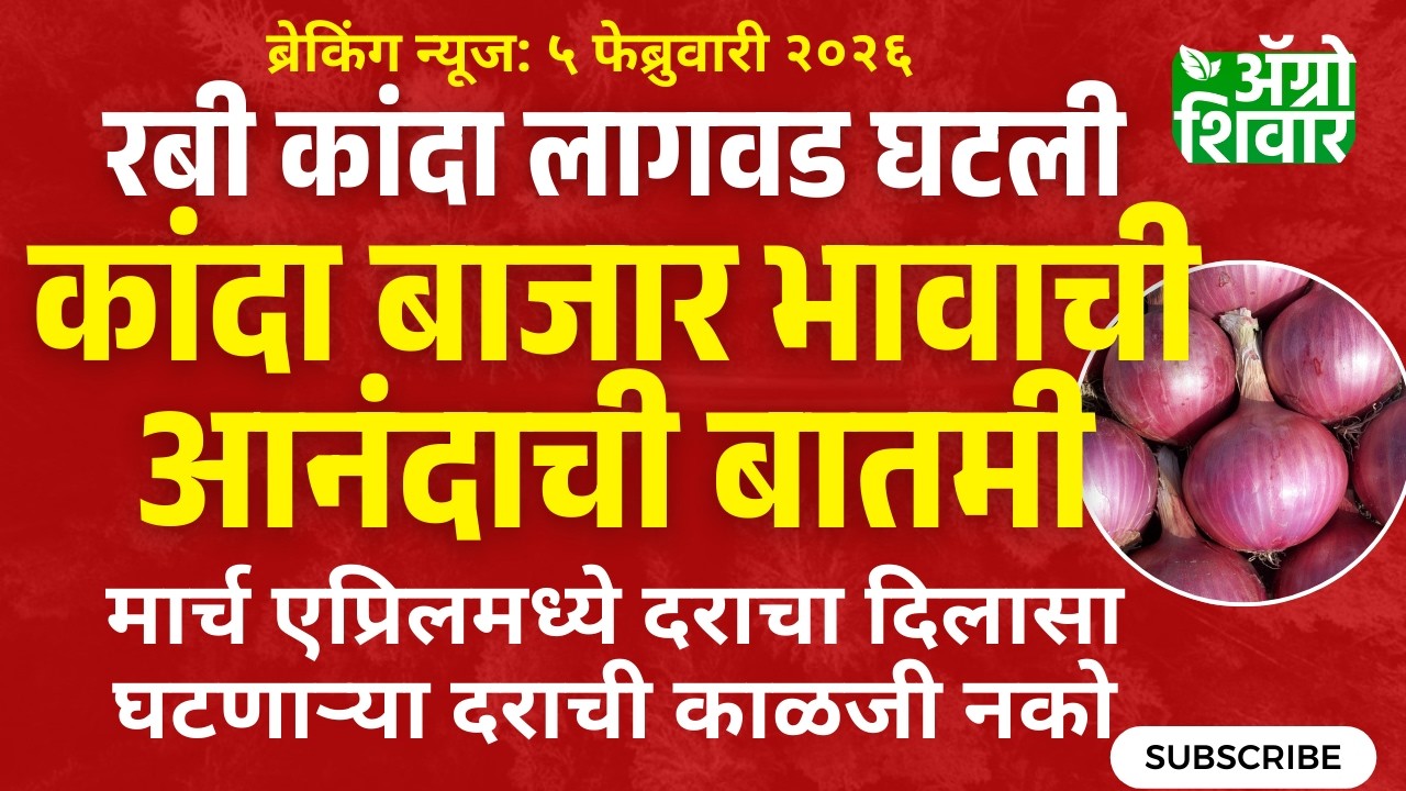  maharashtra kanda bajar bhav | मार्च एप्रिल कांदा बाजार भाव भाव दिलासा, रबी लागवड घटली 