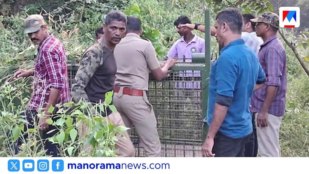 മലമ്പുഴയിൽ പുലിയെ പിടിക്കാൻ കൂട് സ്ഥാപിച്ചു; ആശ്വാസത്തിൽ നാട്ടുകാർ | Malampuzha