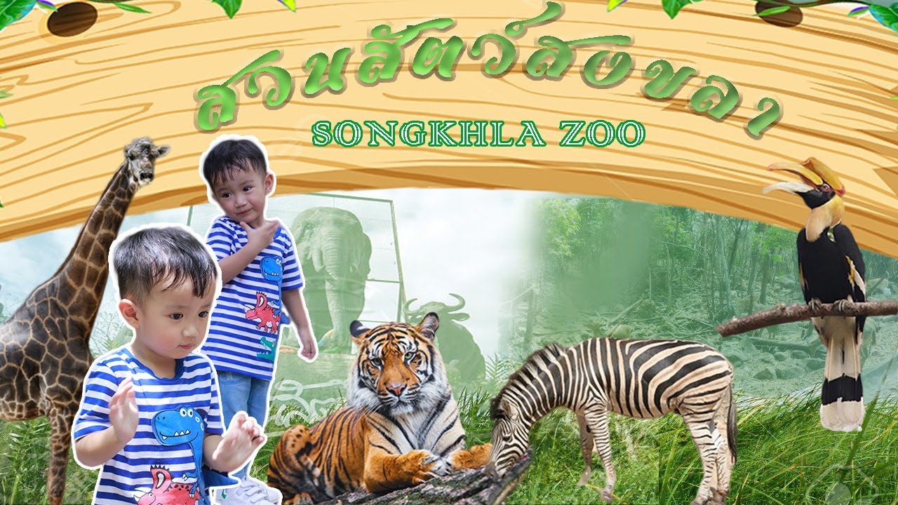 ตะลุยสวนสัตว์