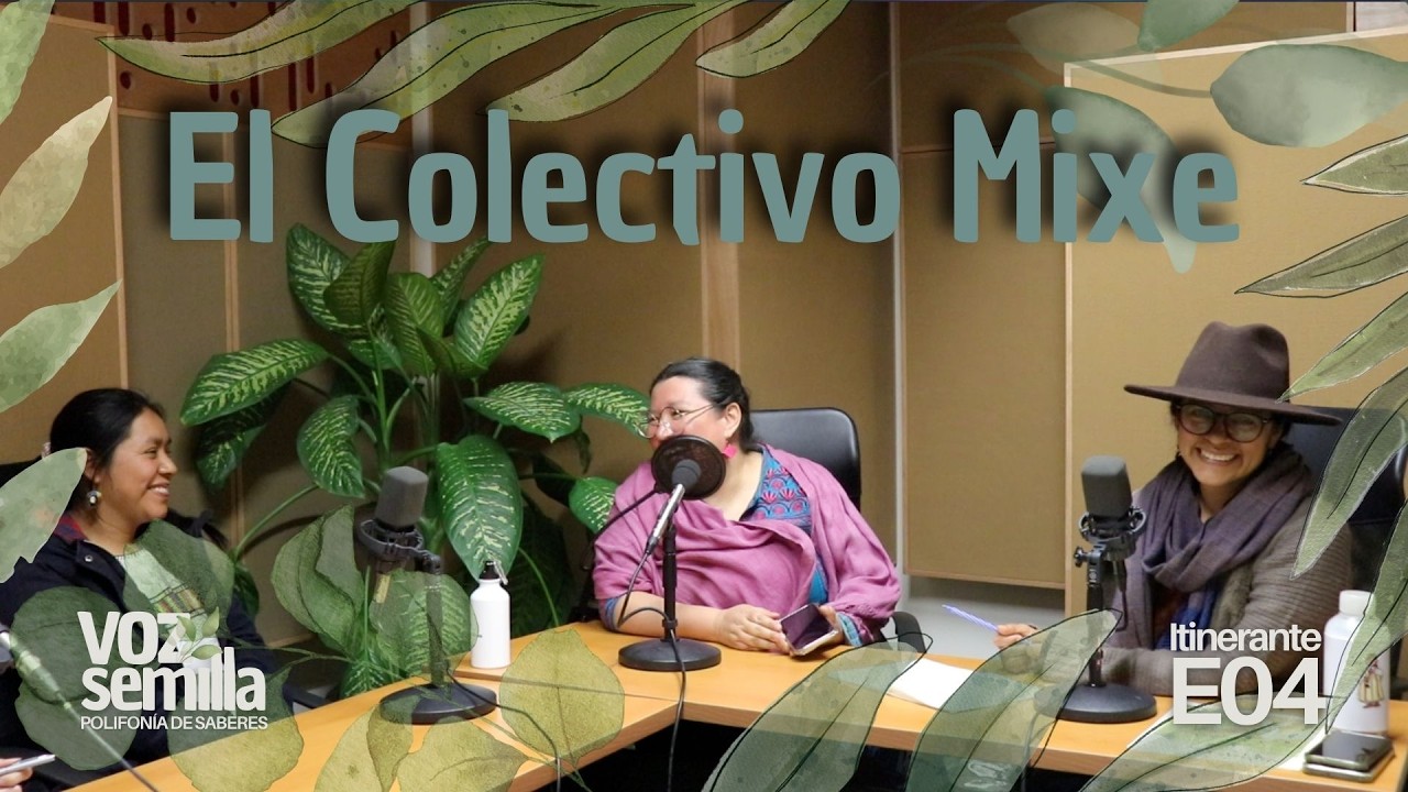 Voz Semilla T. Itinerante 04 || El Colectivo Mixe