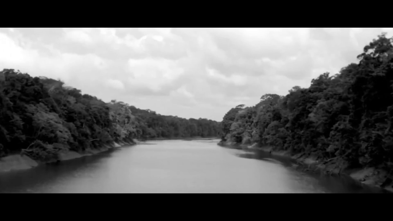 Embrace of the Serpent (2015): Yakruna Dream Sequence