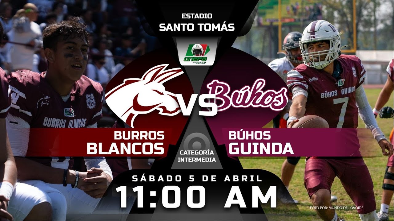 EN VIVO: BURROS BLANCOS IPN vs BÚHOS GUINDA | Categoría INTERMEDIA ONEFA 2025 | MÁXIMO AVANCE