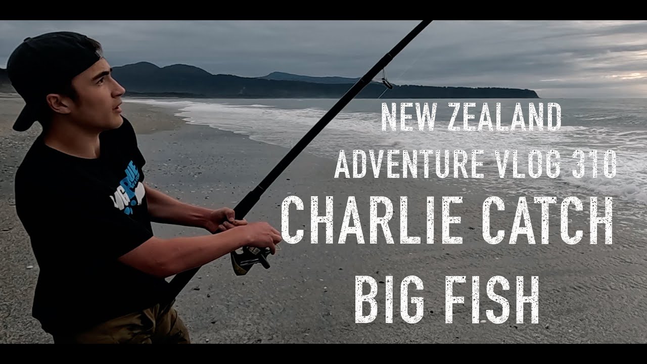 NZ's Most EPIC Beach Camping Adventure with Charlie and the Pups, deer hunting!| VLOG 310