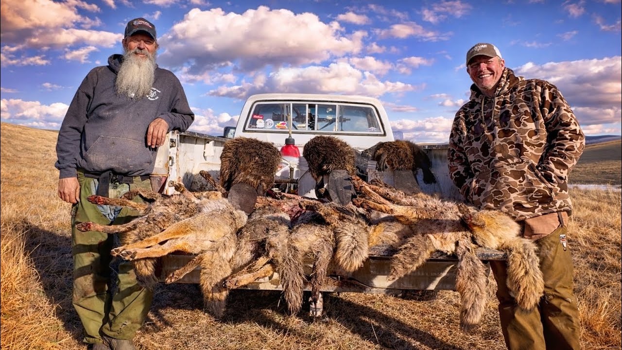 Последний день в Монтане | Койоты, бобры и последний поход за пушниной. Эпизод 8 из 8.