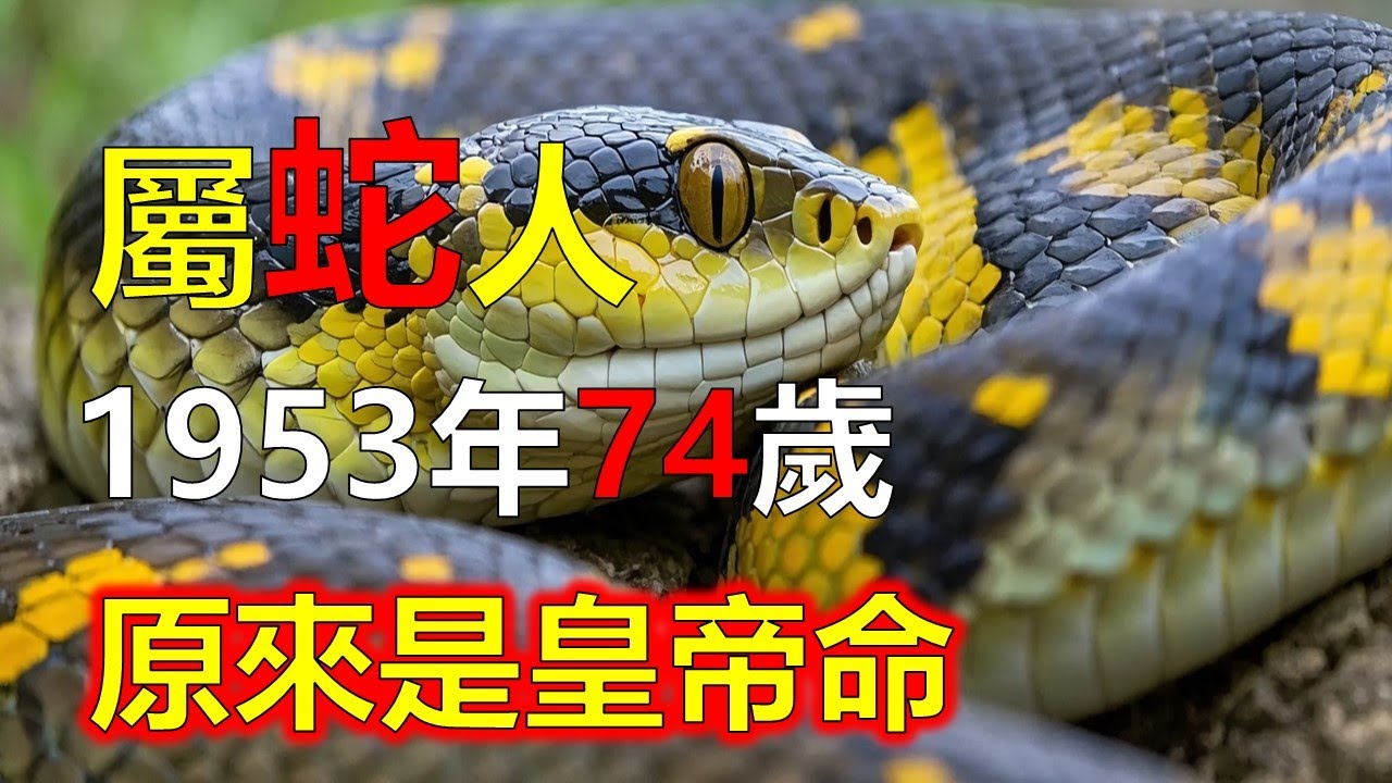 1953年屬蛇人，2026年原來是皇帝命#2026蛇#生肖蛇 #1953蛇