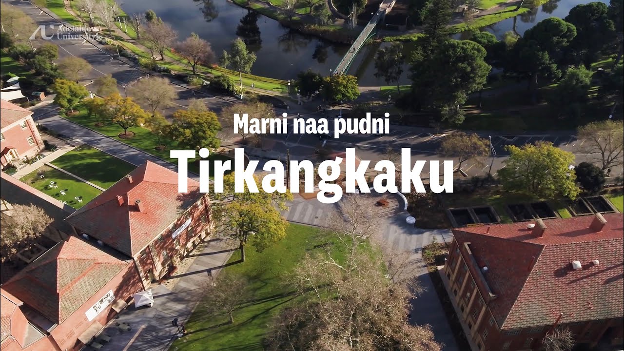 Welcome to Tirkangkaku
