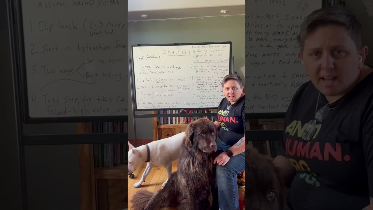 Applied Behavior Analysis and Dog Training