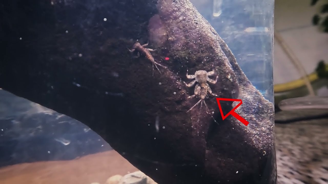 Saison 1, épisode 2: Au milieu du courant 