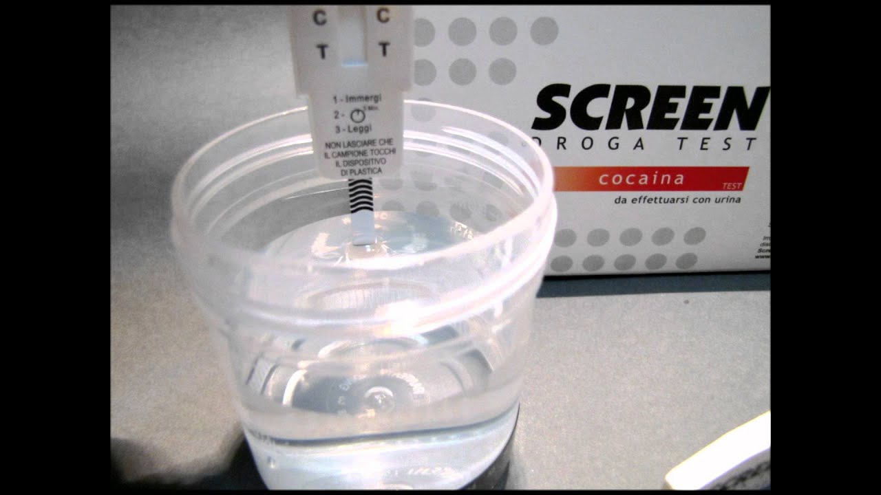 Istruzioni Screen Droga Test ( 2 minuti )