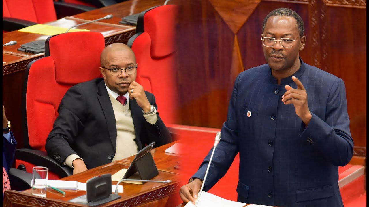 VIDEO: SERIKALI KUUFUMUA MFUMO WA AJIRA, WAZIRI SIMBACHAWENE AFAFANUA