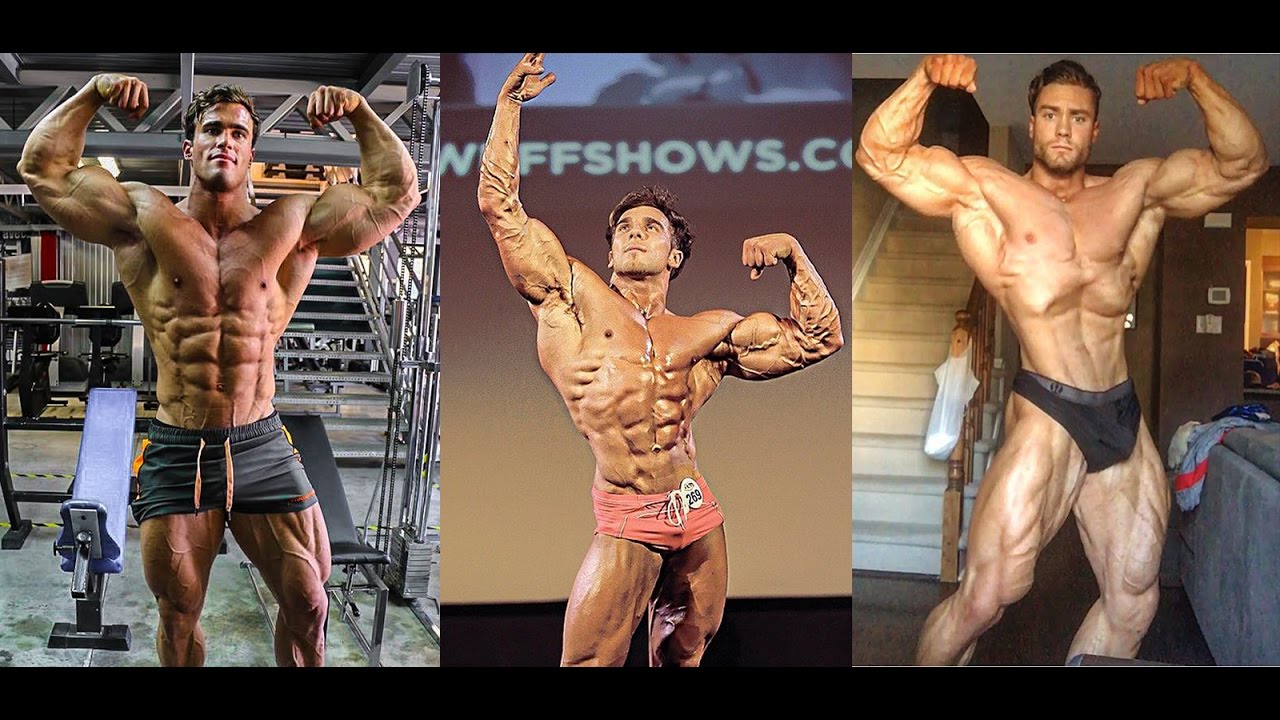 Modern Classic Bodybuilders