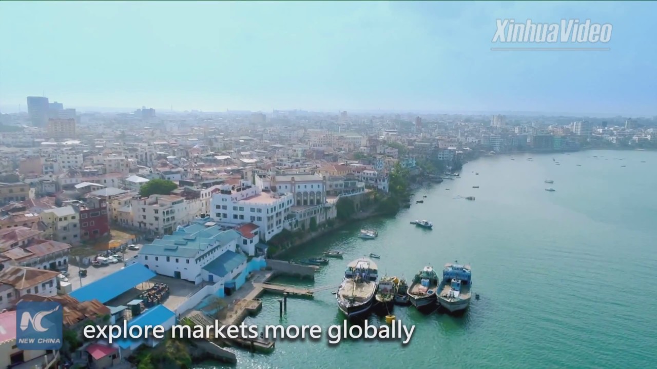 Belt and Road to help integrate Africa into global trade: scholar