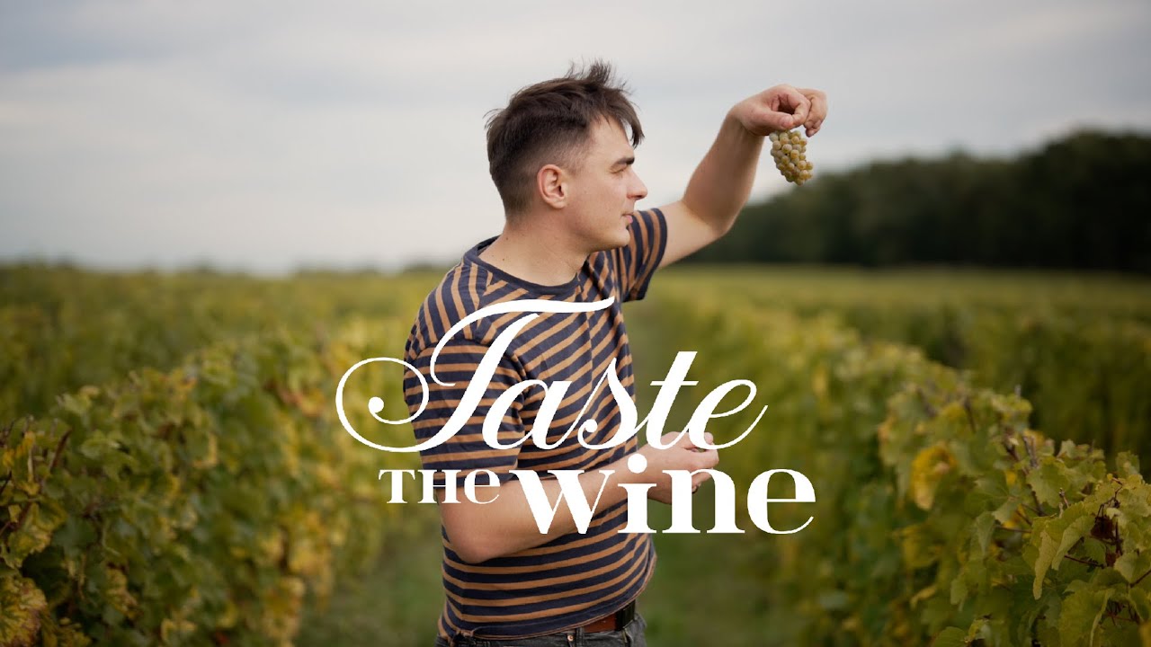 Taste The Wine | 2022 | Reportaż z polskich winnic | Część 1 - Gostchorze, Aris, Zodiak