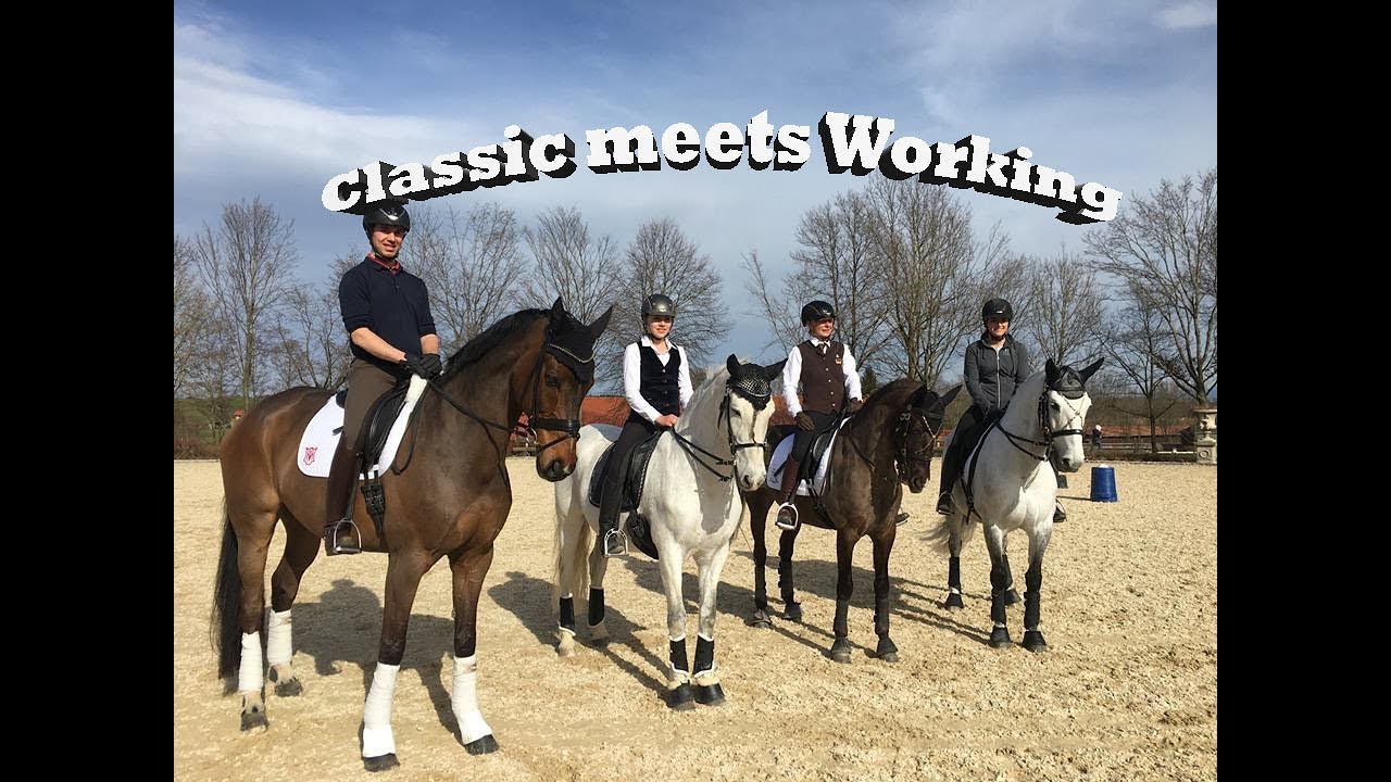 CLASSIC meets WORKING 2018 - Pferd International 2018 - Dressur vs. Working Equitation