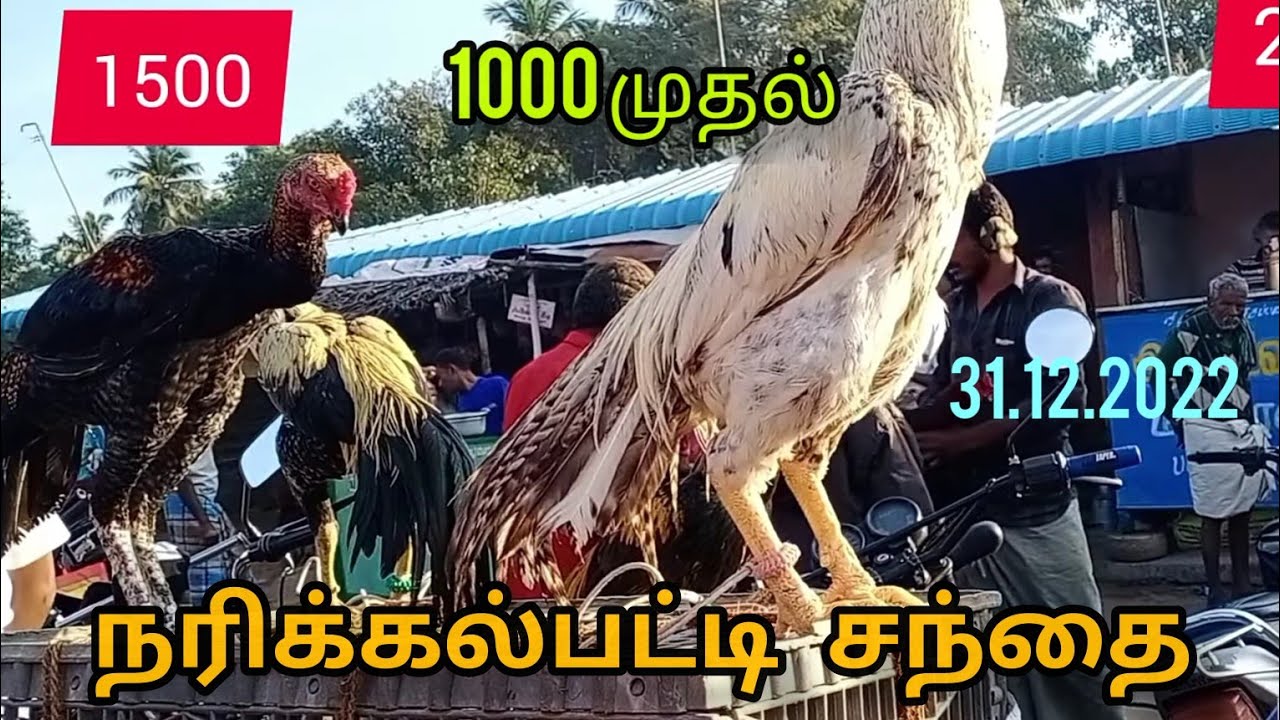 நரிக்கல்பட்டி சேவல் சந்தை/31.12.2022#Narikkalpatti kozhi/seval sandhai / நம்ம ஊரு சந்தை2.0