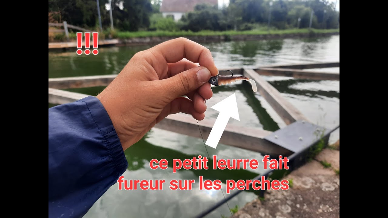 pêche au leurre en canal (Strasbourg)