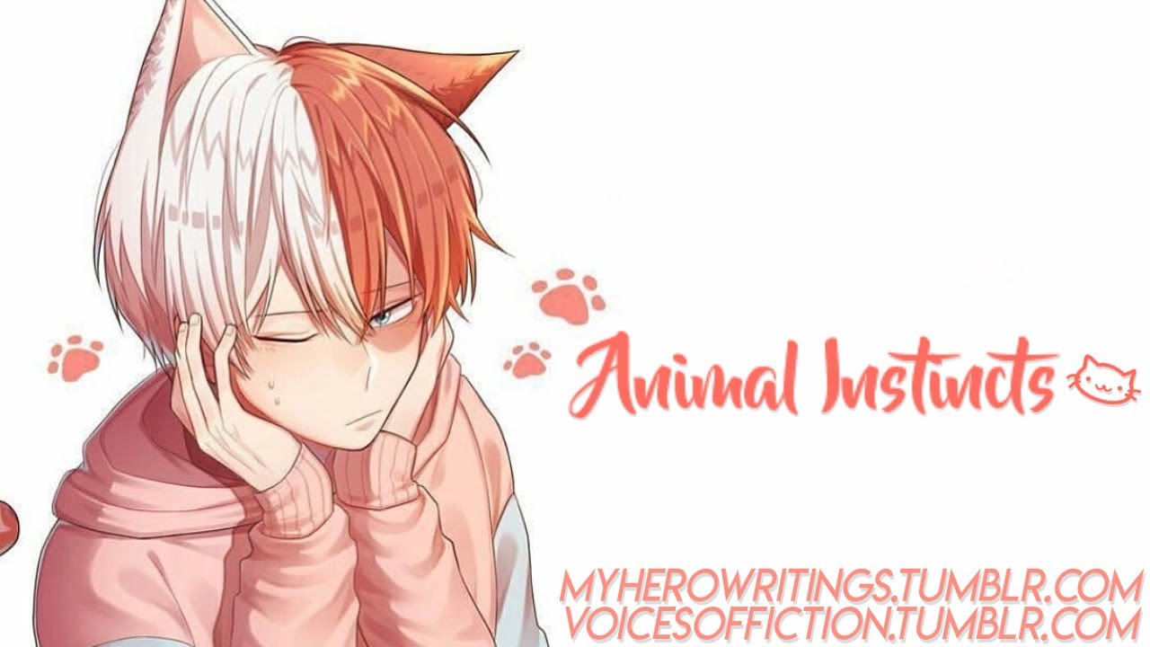 Animal Instincts | Todoroki Shoto x Shapeshifter! Слушатель