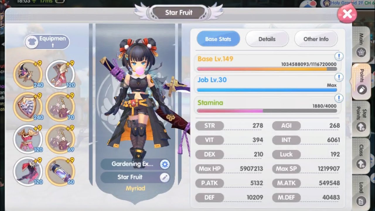 ROX - Hyper Novice Shadow Demon Build and DPS test