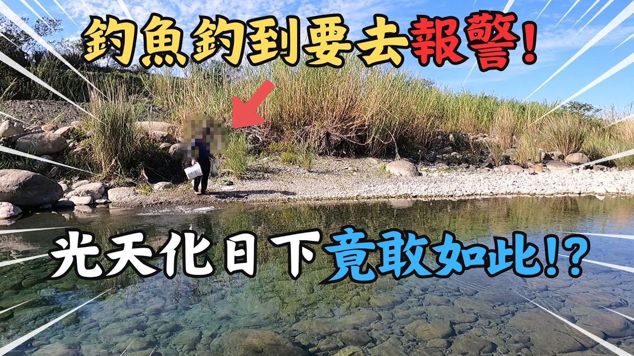 釣魚釣到想去報警??  光天化日下竟敢如此?? ｜飛釣｜飛蠅釣｜新竹頭前溪｜捲仔｜全沉線｜何氏棘魞｜Maxcatch Traveller ｜#釣魚 #flyfishing #tips