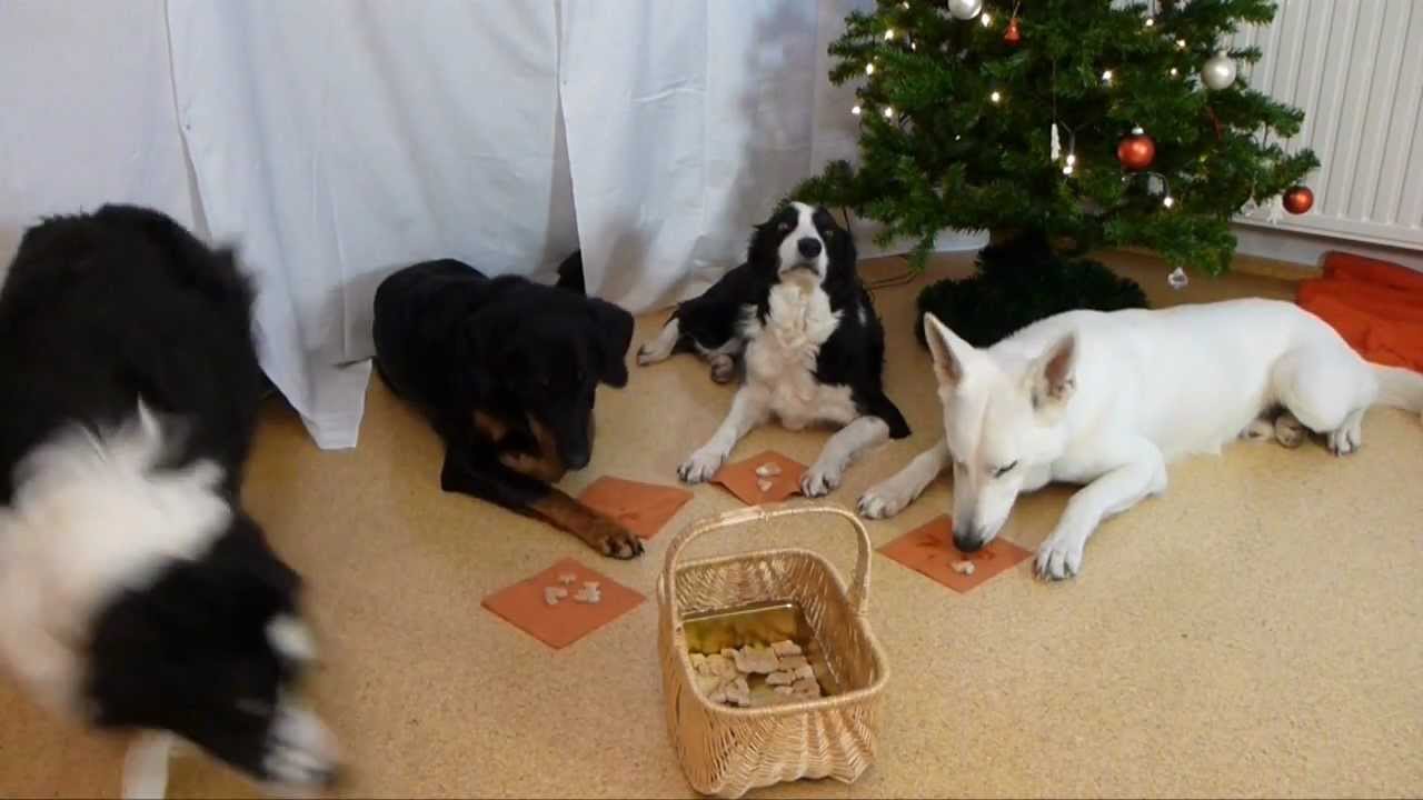 Christmastime