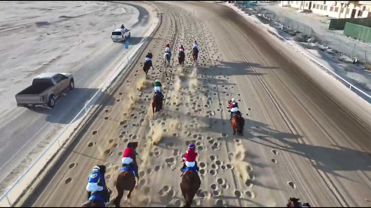 سباقات الاجتماع الثامن الشوط الرابع الجواد بحفظ الله