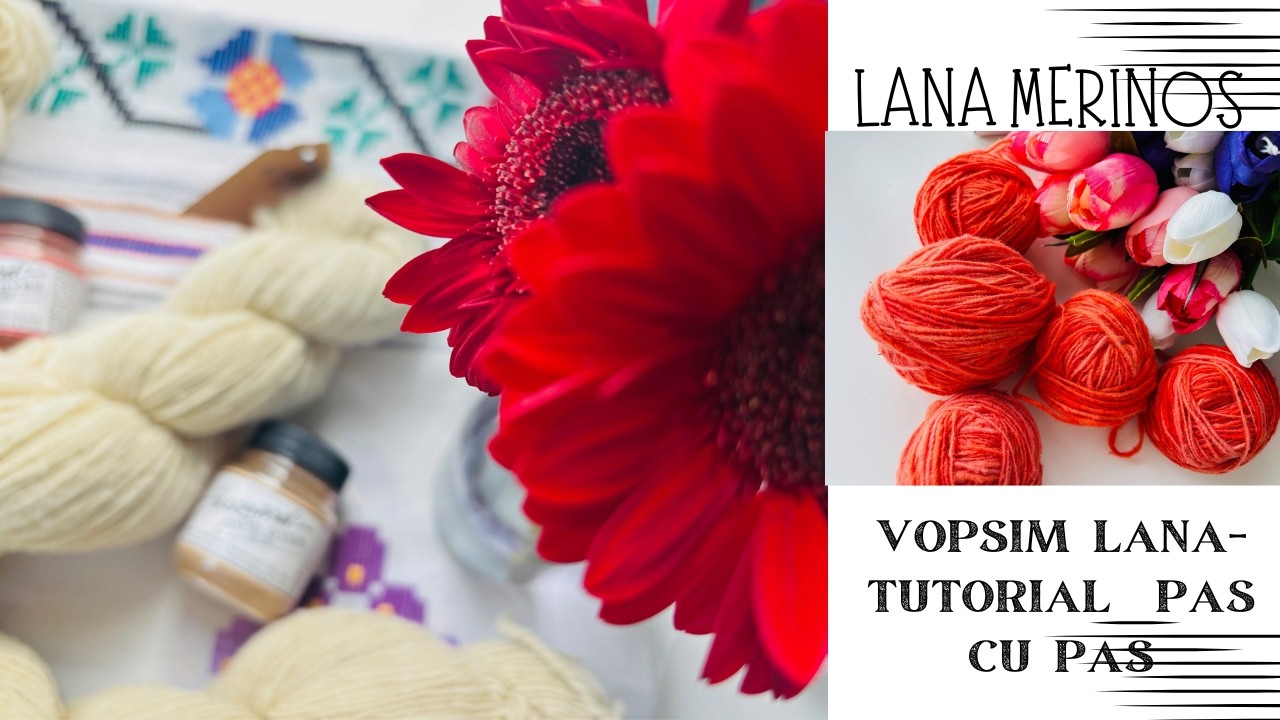 Vopsim Impreuna Lana Merinos Autentic marca Vise Impletite
