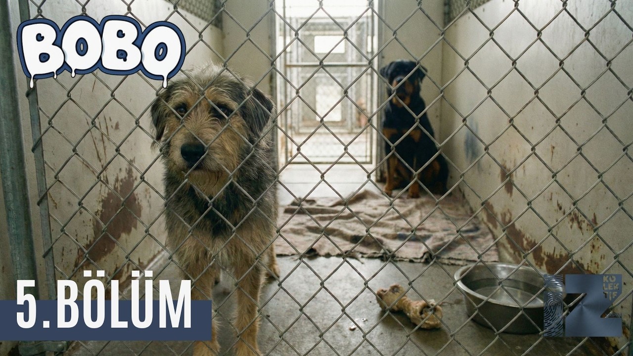 BOBO, 5 серия - 