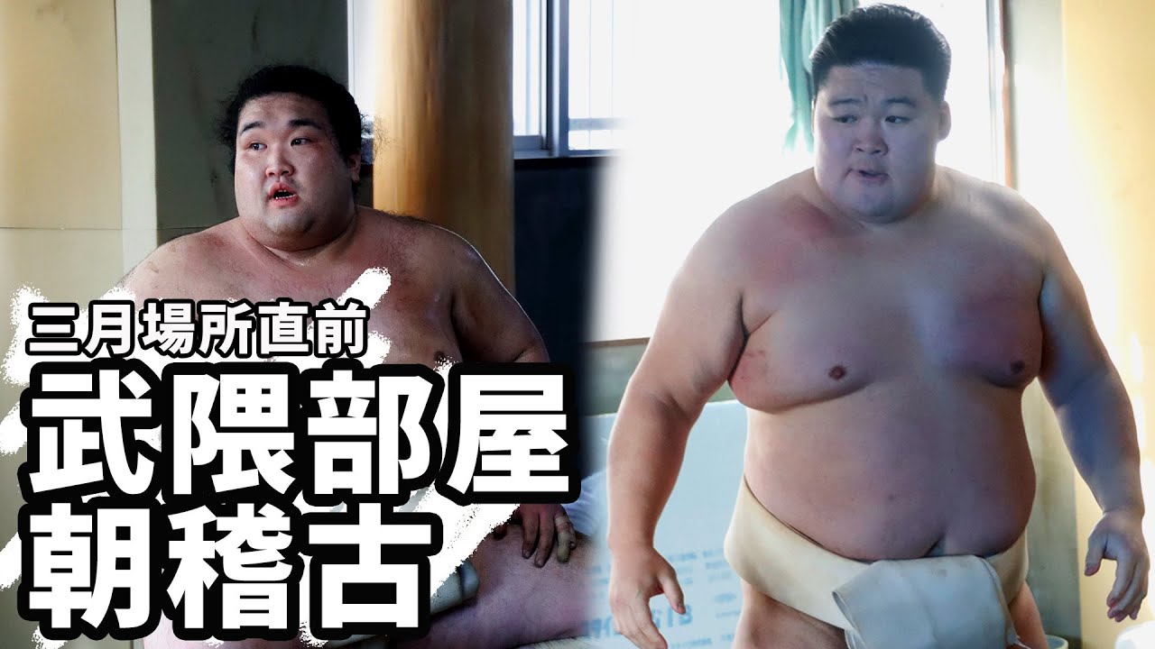 【相撲部屋の朝稽古】武隈部屋編＜令和５年三月場所直前＞SUMO