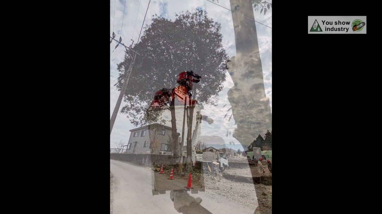 熊本県　球磨郡錦町３箇所伐採🌲現場まとめ