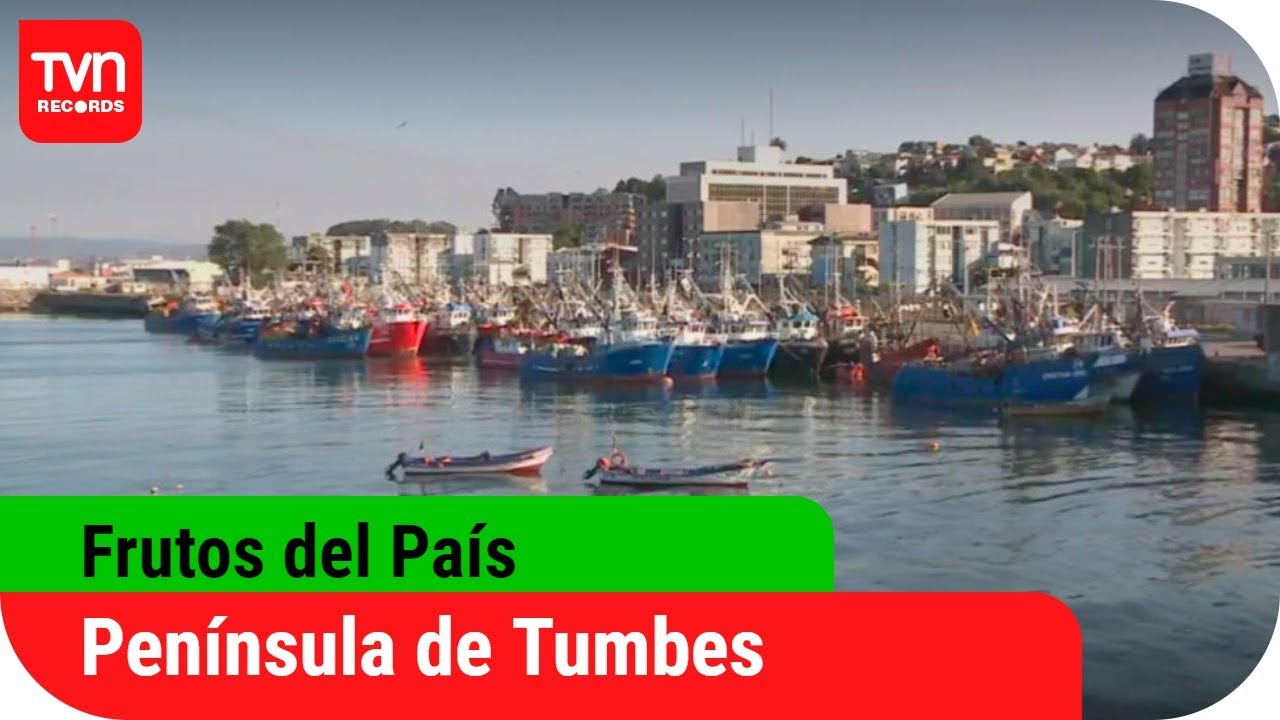 Frutos del país | Península de Tumbes