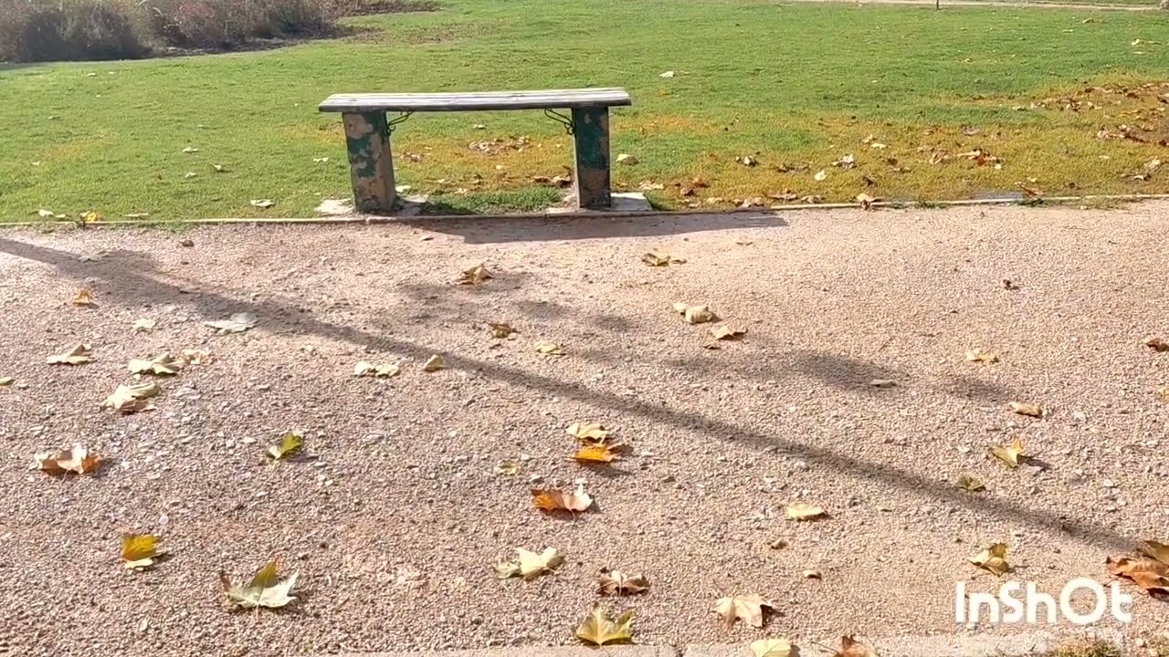 🚨البقة في ورطة بسبب الصورة📷غياب المعتمرة عن المواقع والحقيقة وراء الفلوغ 😱 الضاصرة وسوسو وفراش الدار