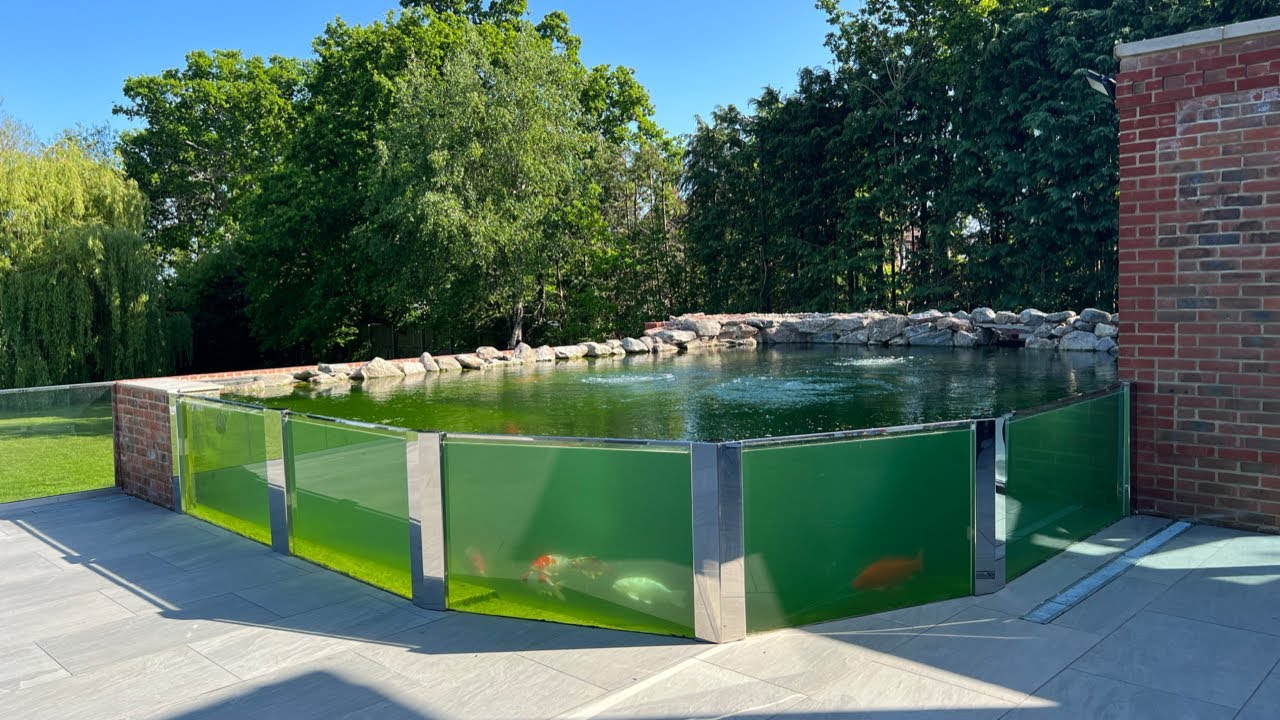 13500 GALLON GLASS KOI POND!! THE FIRST KOI GOING IN!!
