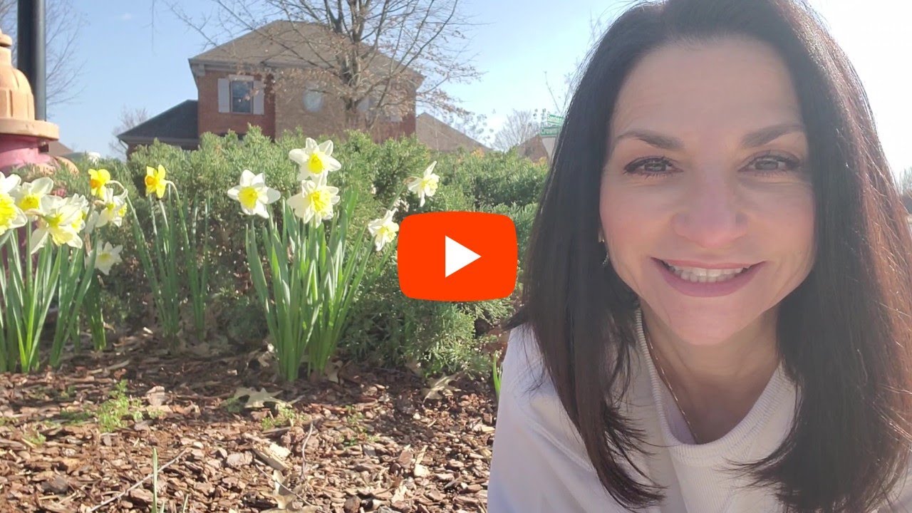 Daffodils explain the difference between Preventive Maintenance Optimization (PMO) and RCM...