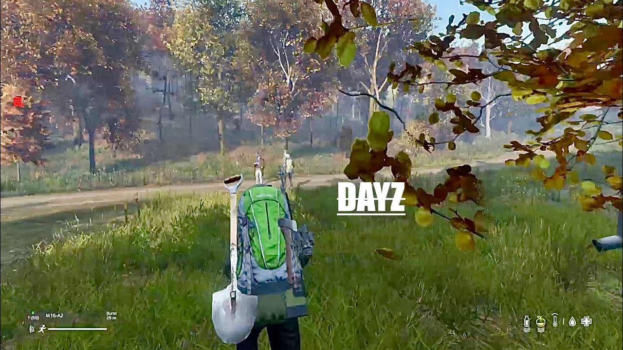 DayZ- LaGgY SiTuAtIOn  