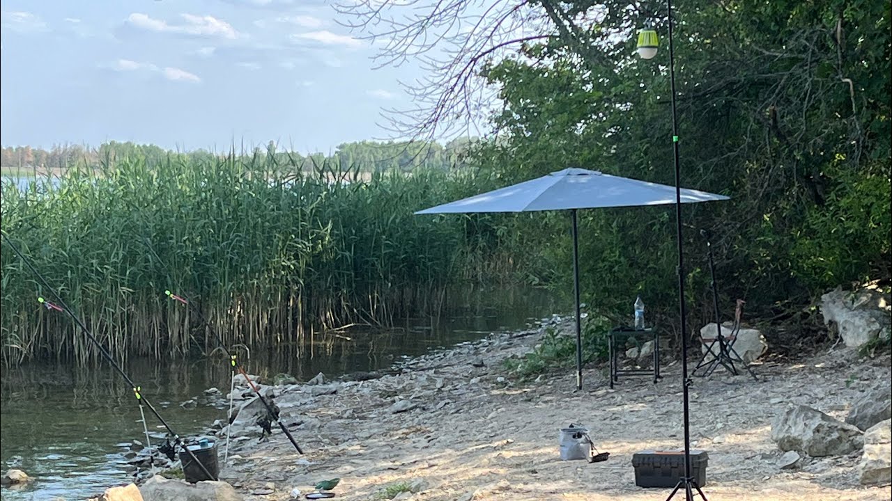 Рыбалка на Печенегах 2025 !  Подлещик на пружину ! Ночевка в Черном Лесу !  Уха из леща !