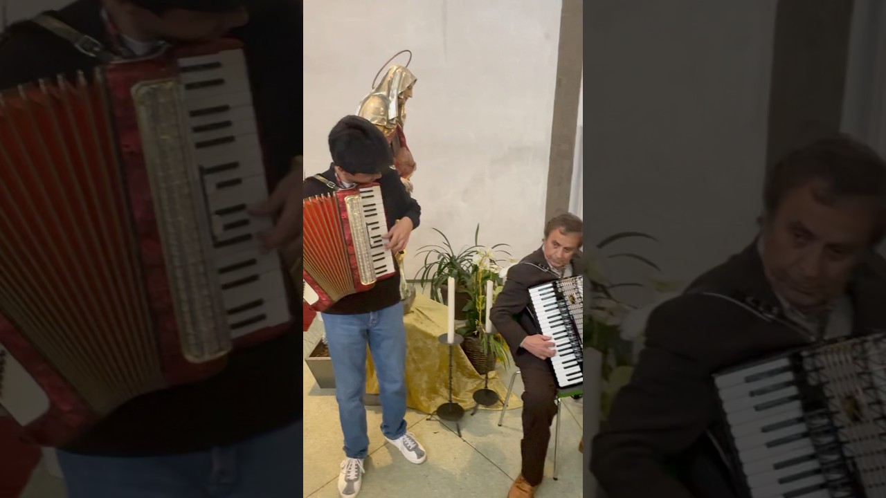 Practice with Ustad Babrak Wassa Saheb 🙏🏻#sagharsiar #fy #fyp  #ahmadzahir #accordion #shortvideo
