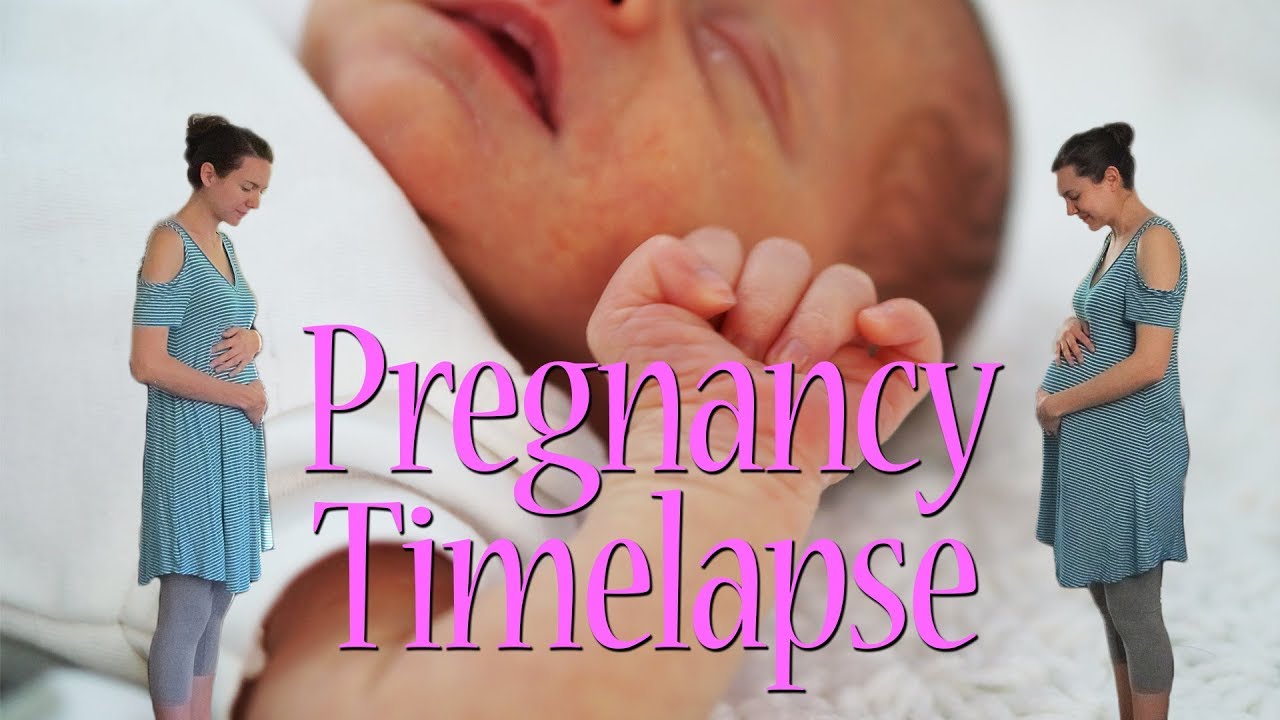 Pregnancy Timelapse