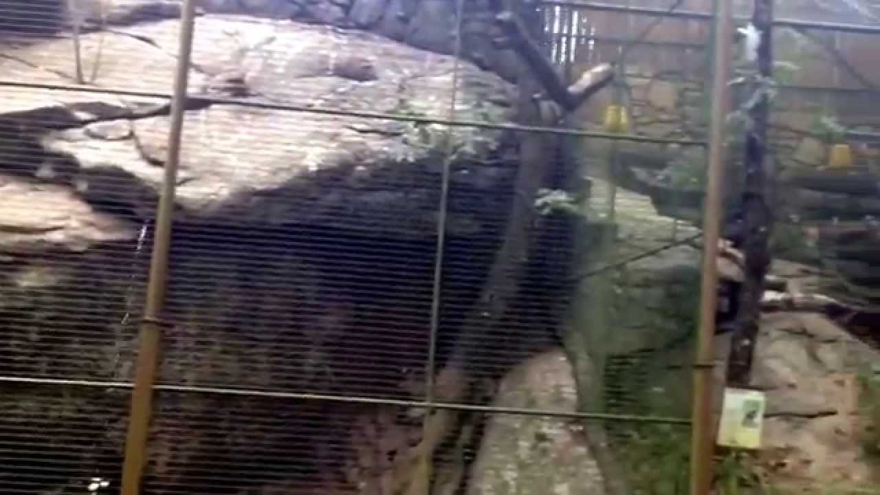 Avifauna Lugo, Parque ornitológico.