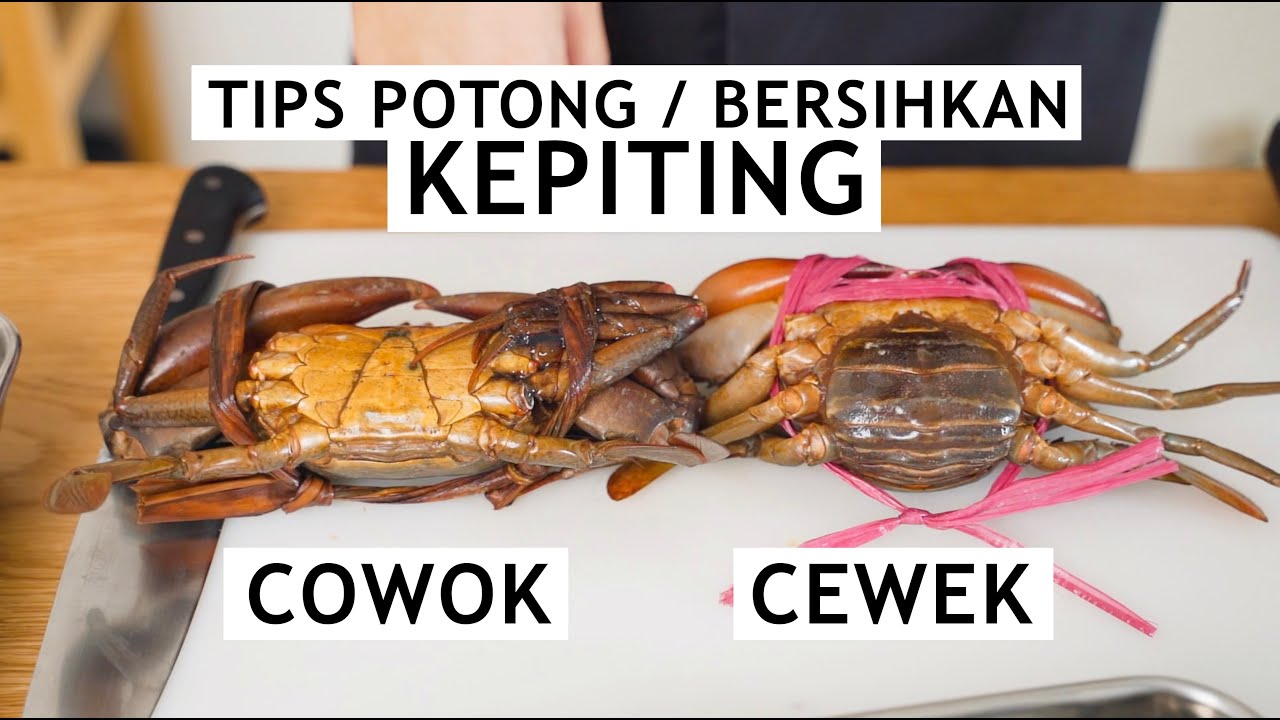 TIPS MEMOTONG DAN MEMBERSIHKAN KEPITING - COOKING TIPS WILLGOZ KITCHEN