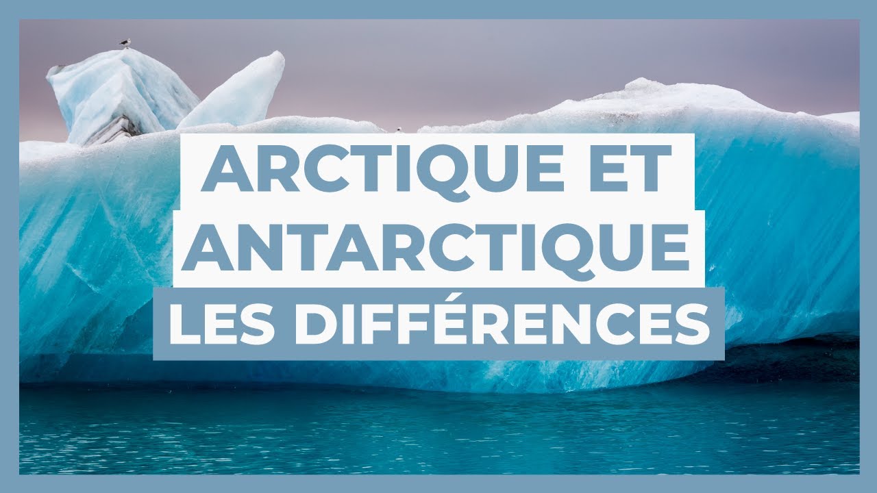 ❄️ Localisation, Température, Population… Arctique et Antarctique les différences❄️