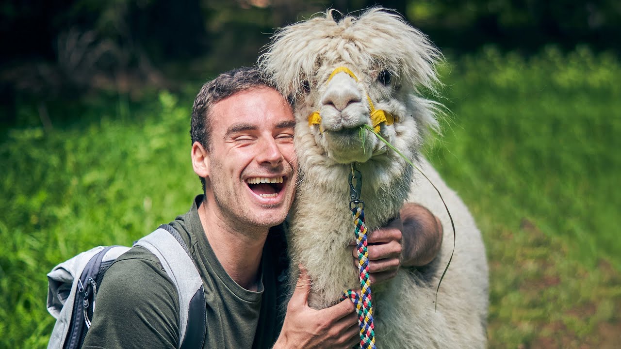 Cuddling an Alpaca Was Harder Than I Thought | Tick-Off Tuesday #4