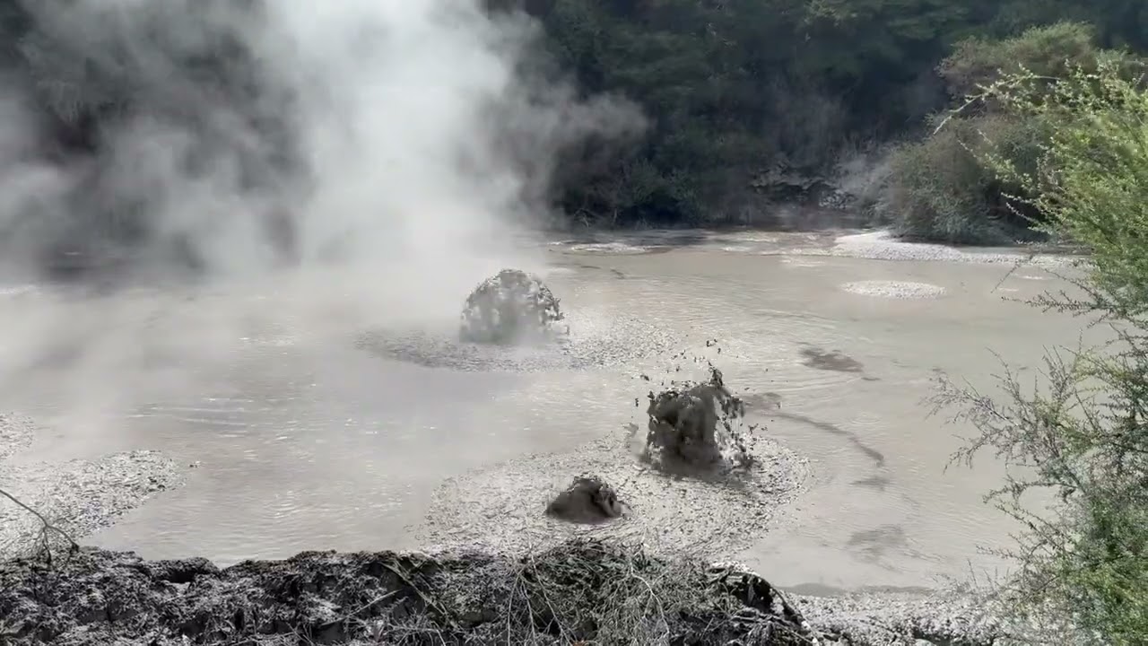 Mud pools and Geysers Rotorua