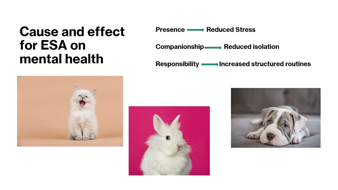 Emotional Support Animals pptx