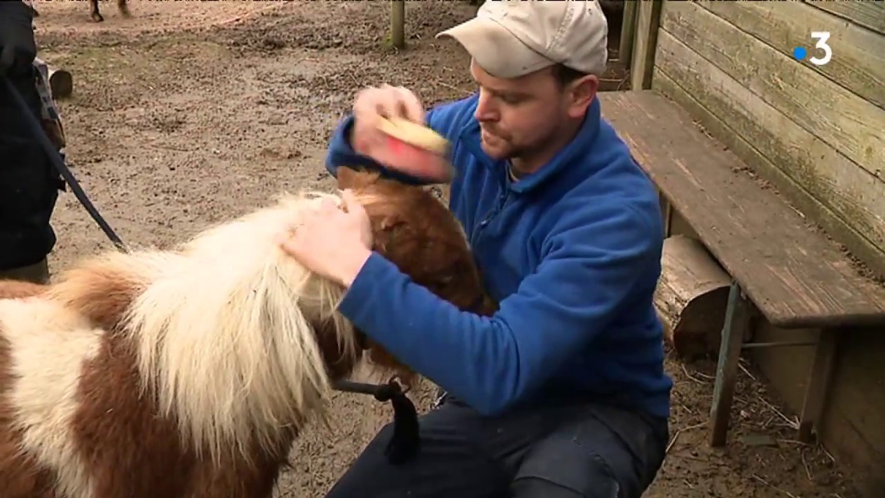 Fort-Mardyck : devenez soigneur d'un jour au zoo !